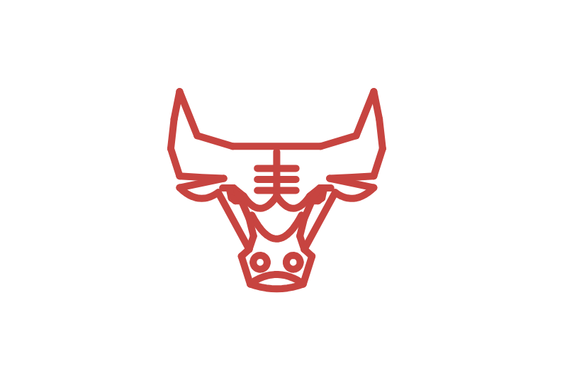 Bulls Logo – INFO 303